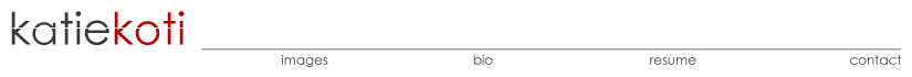 logoIV