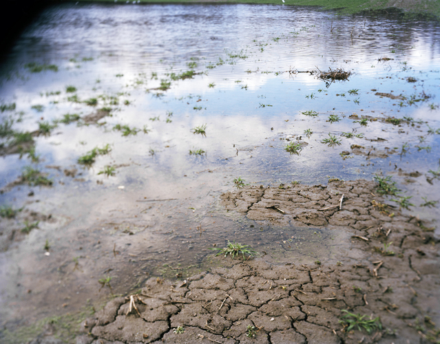 DirtCracksFlood