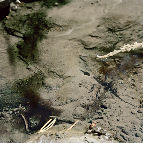 hotsprings